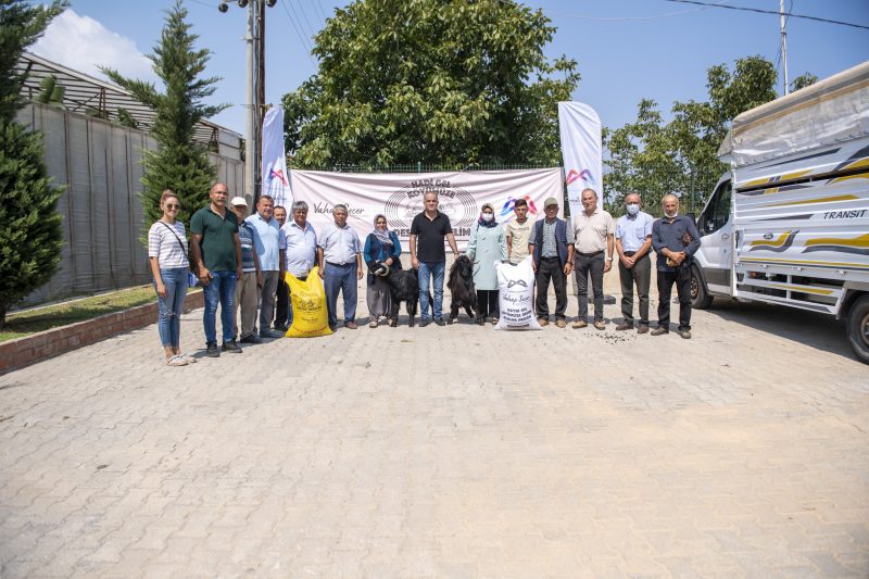 100 KÜÇÜKBAŞ HAYVAN DESTEĞİ